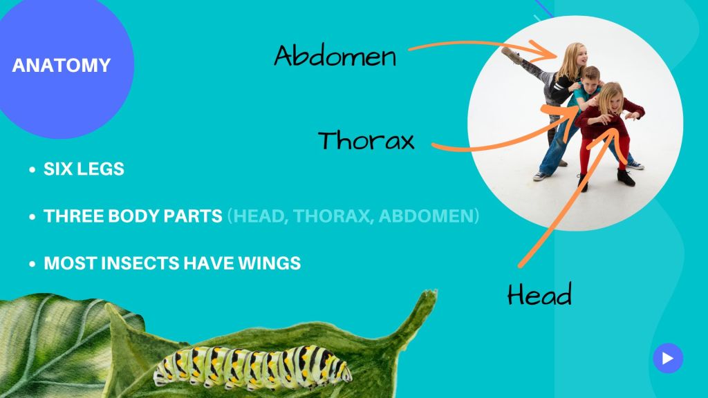 Insects in Motion: Exploring Communities Through Dance and&nbsp;Science